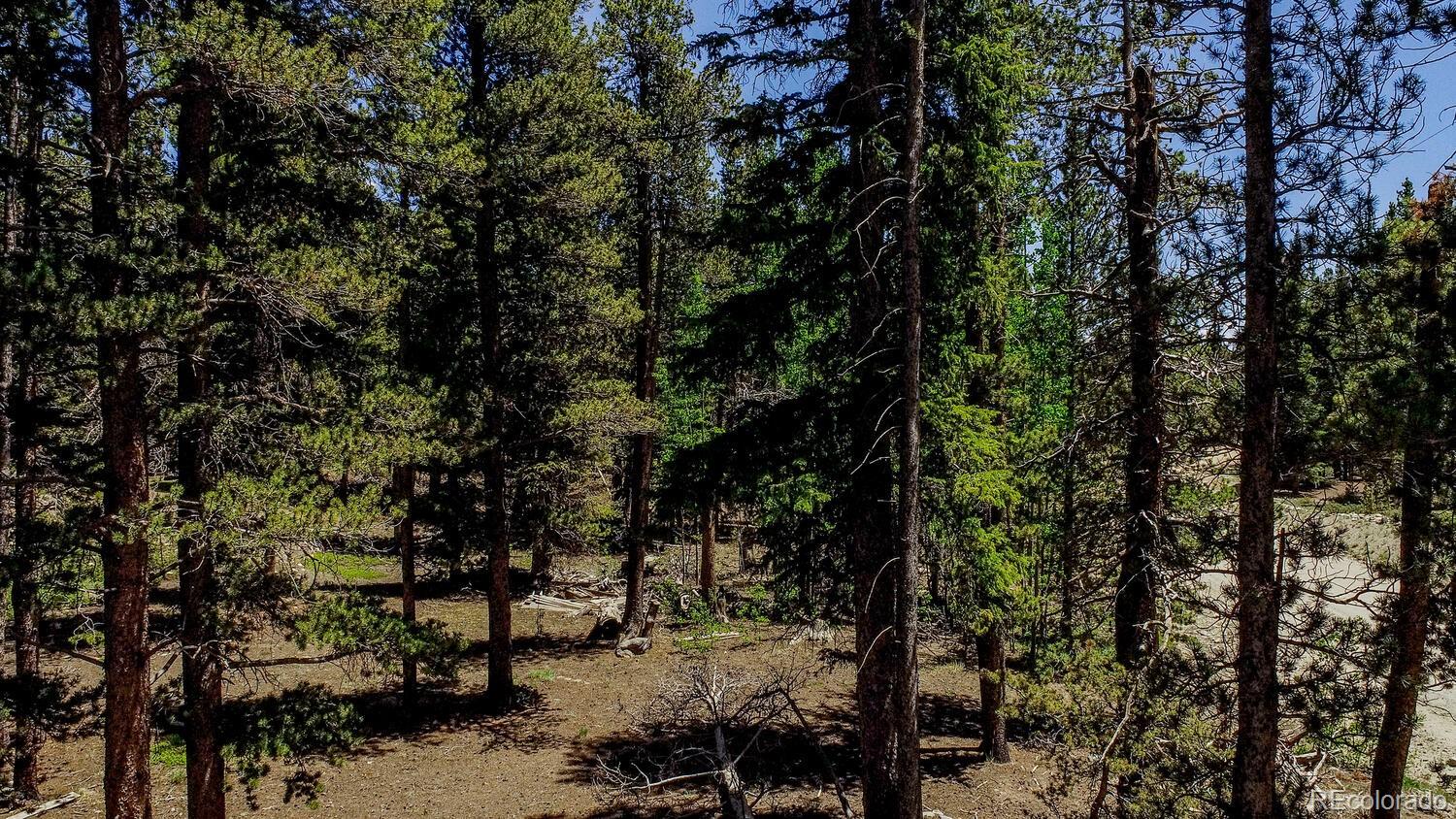 4100 Co Road 1 Fairplay CO 80440