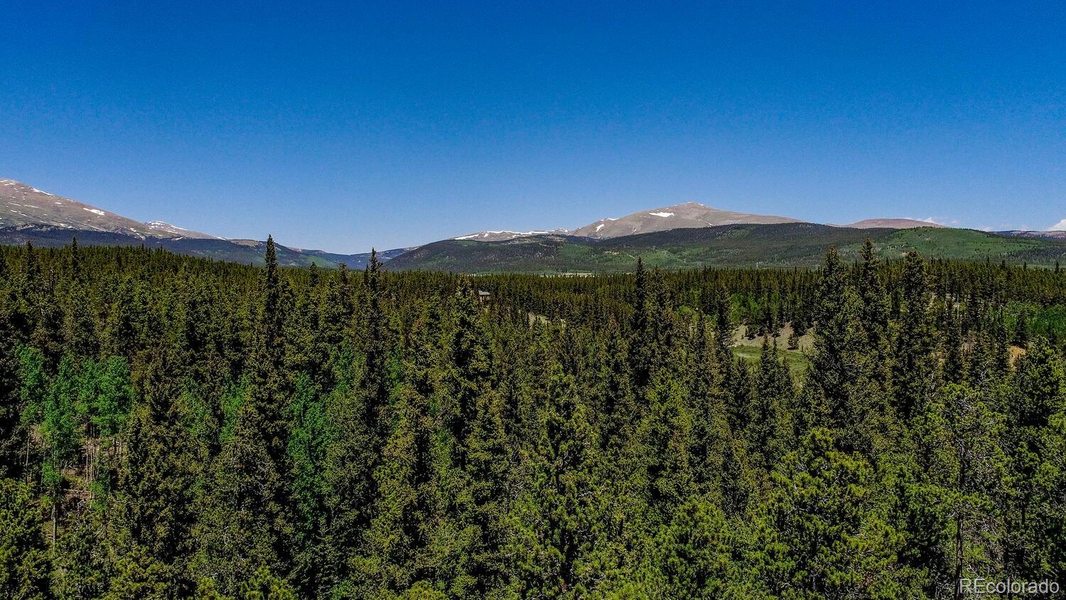 4100 Co Road 1 Fairplay CO 80440