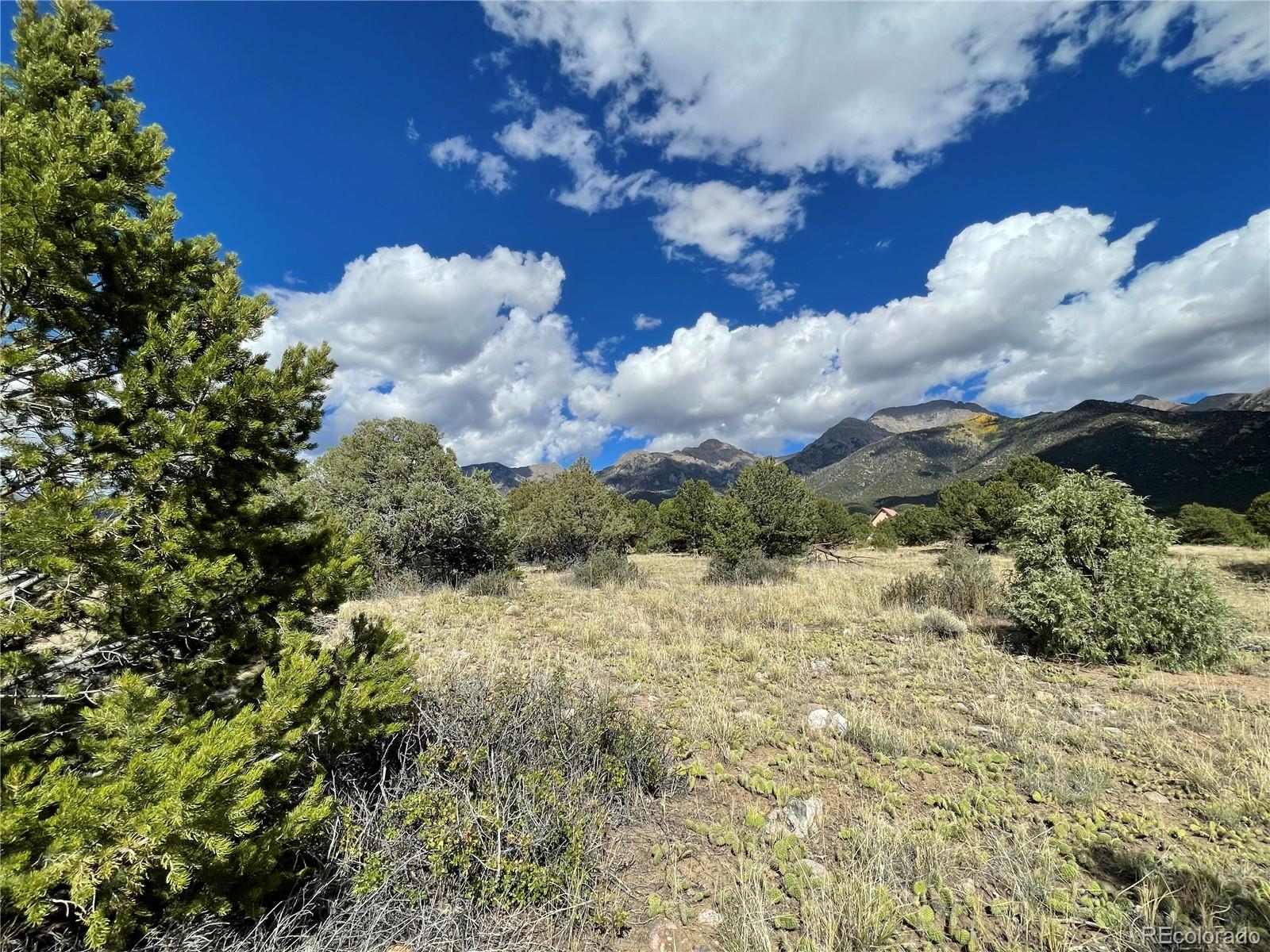 1566 N Rocky Mountain Trail Crestone CO 81131