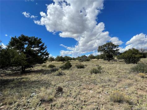 1566 N Rocky Mountain Trail Crestone CO 81131