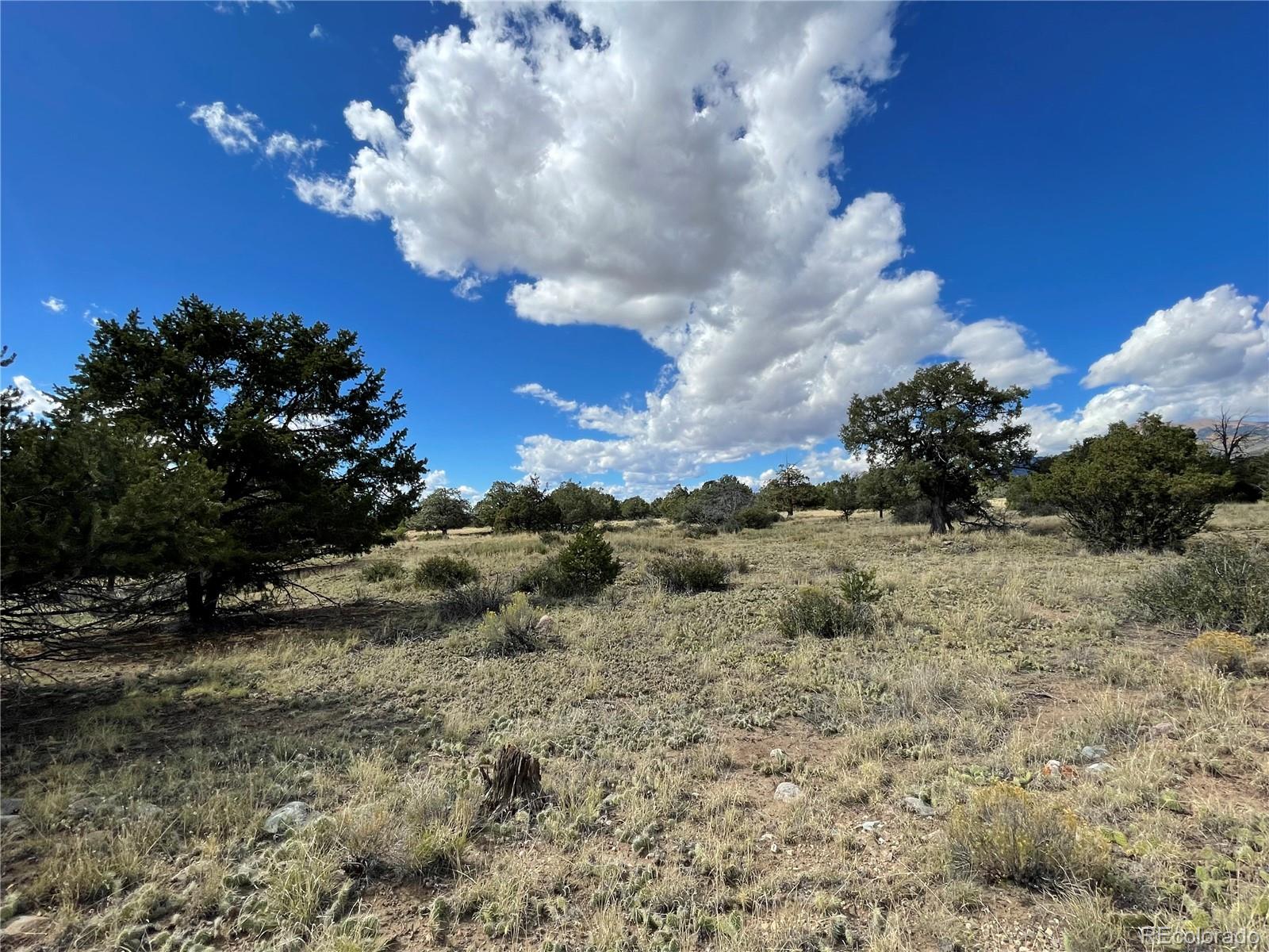 1566 N Rocky Mountain Trail Crestone CO 81131