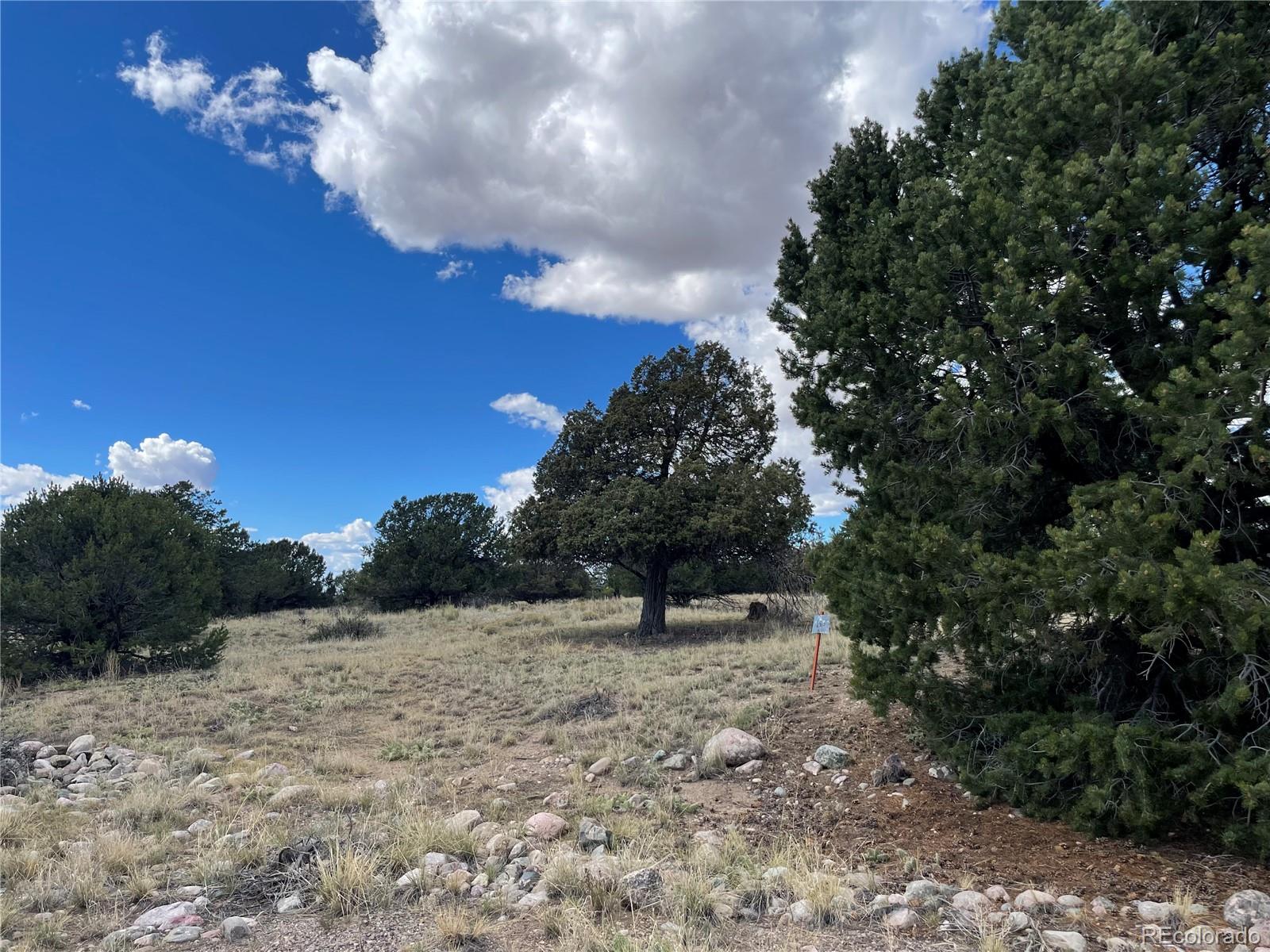 1566 N Rocky Mountain Trail Crestone CO 81131