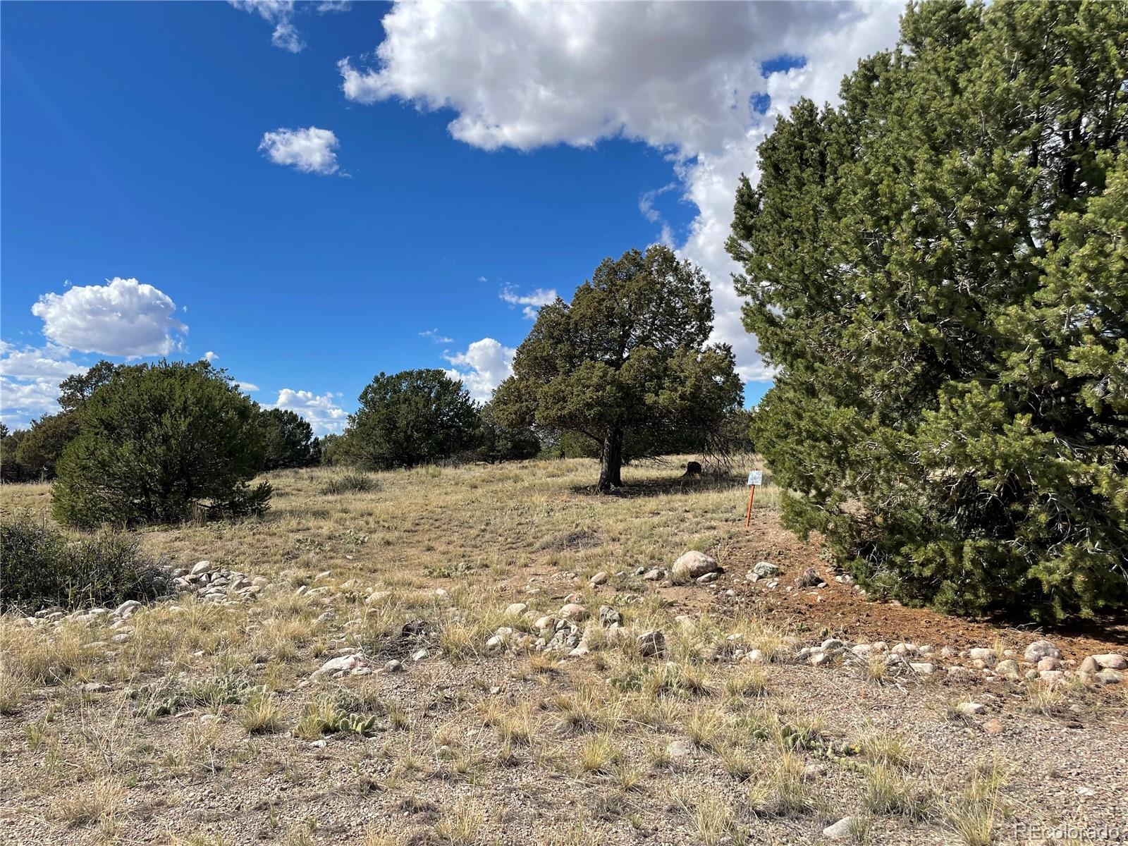 1566 N Rocky Mountain Trail Crestone CO 81131