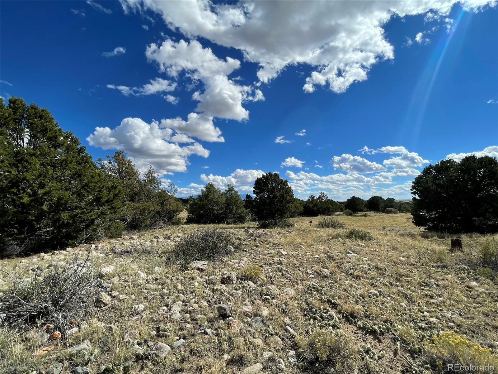 1566 N Rocky Mountain Trail Crestone CO 81131