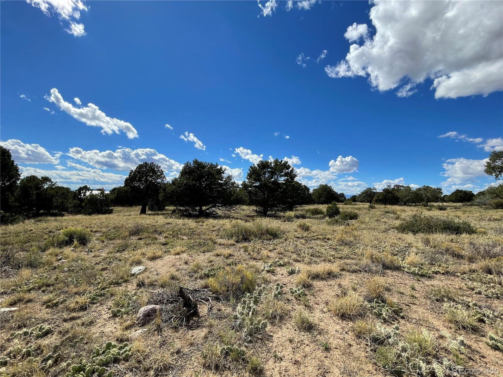 1566 N Rocky Mountain Trail Crestone CO 81131