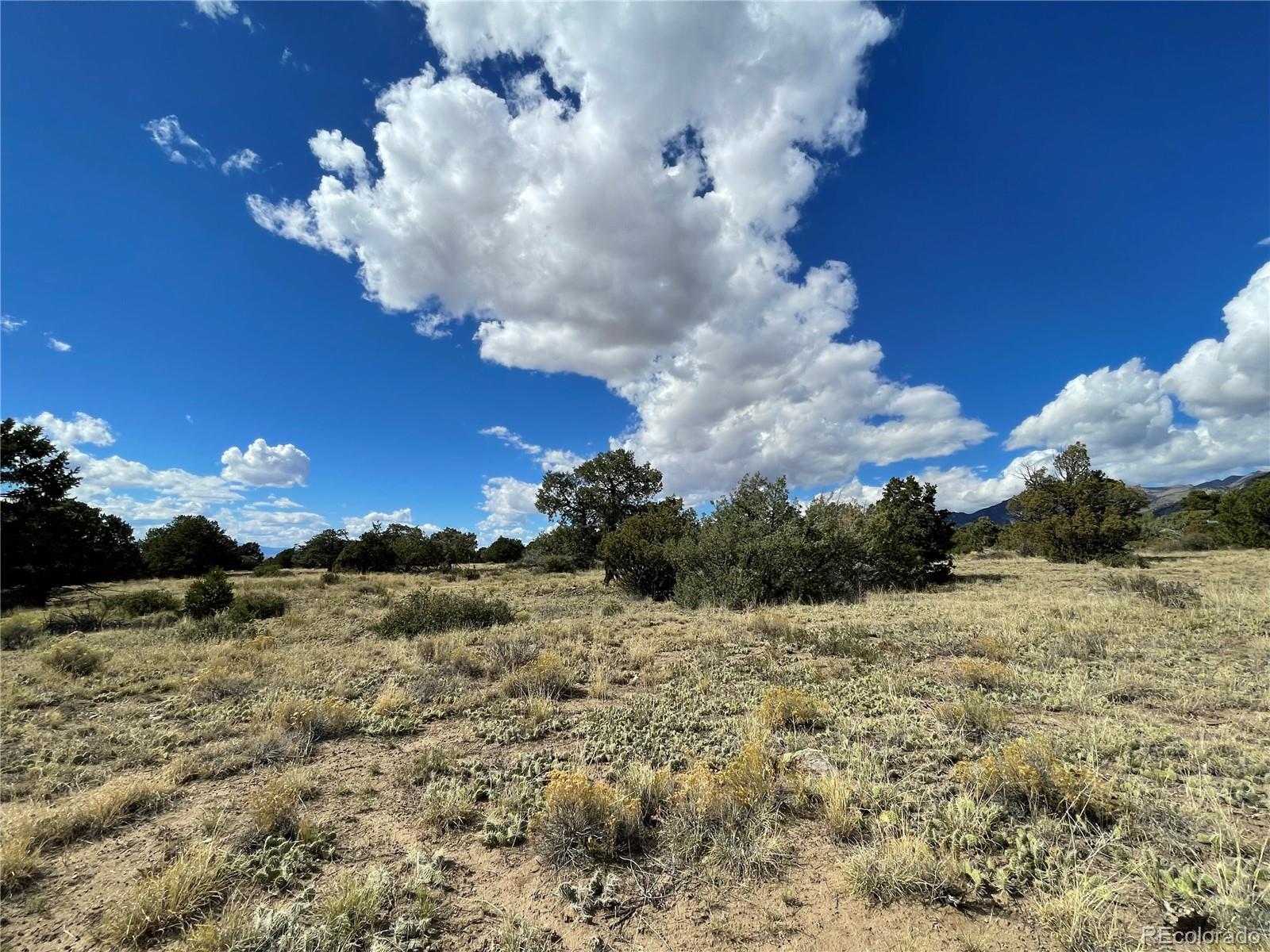 1566 N Rocky Mountain Trail Crestone CO 81131
