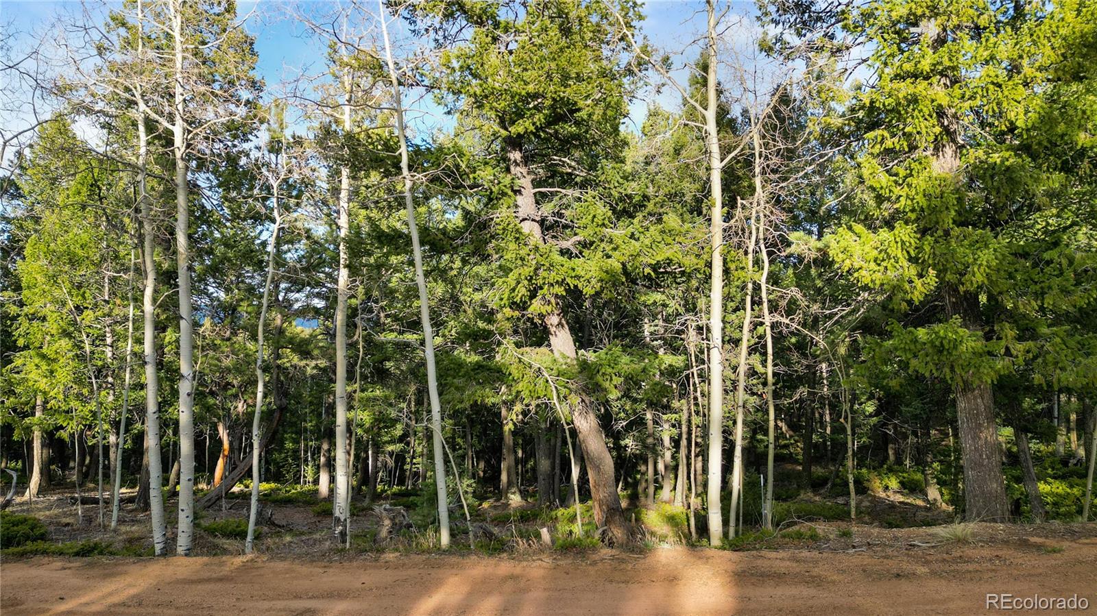 68 Yale Place Woodland Park CO 80863
