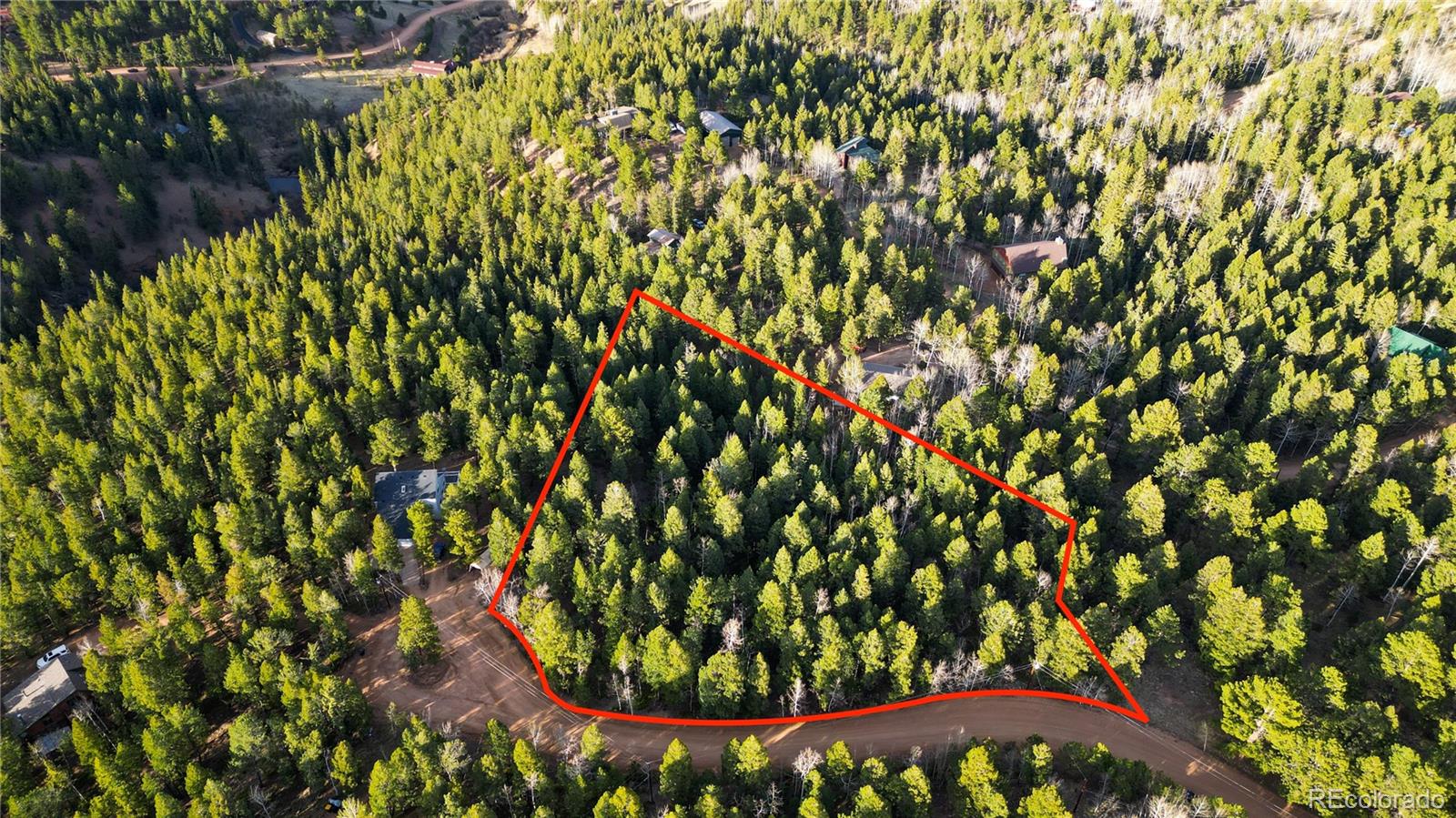 68 Yale Place Woodland Park CO 80863