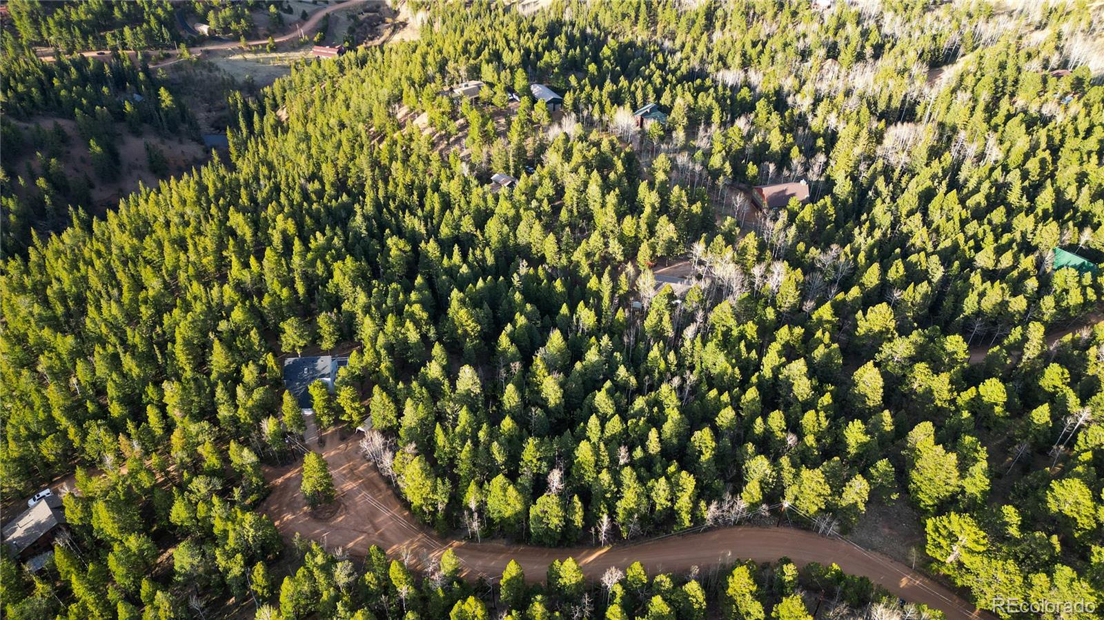 68 Yale Place Woodland Park CO 80863