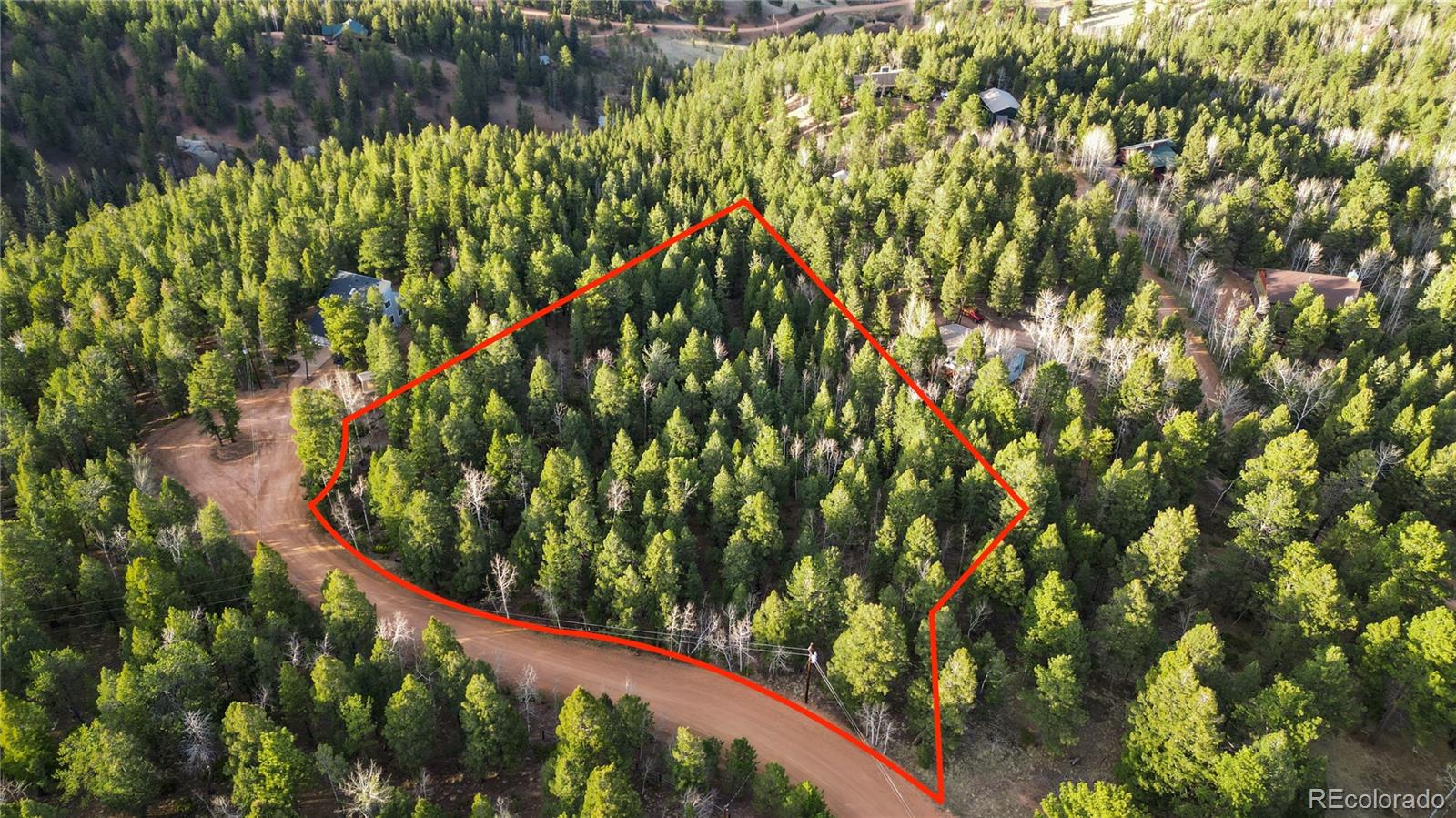 68 Yale Place Woodland Park CO 80863