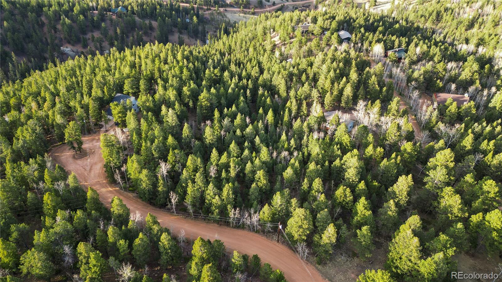 68 Yale Place Woodland Park CO 80863