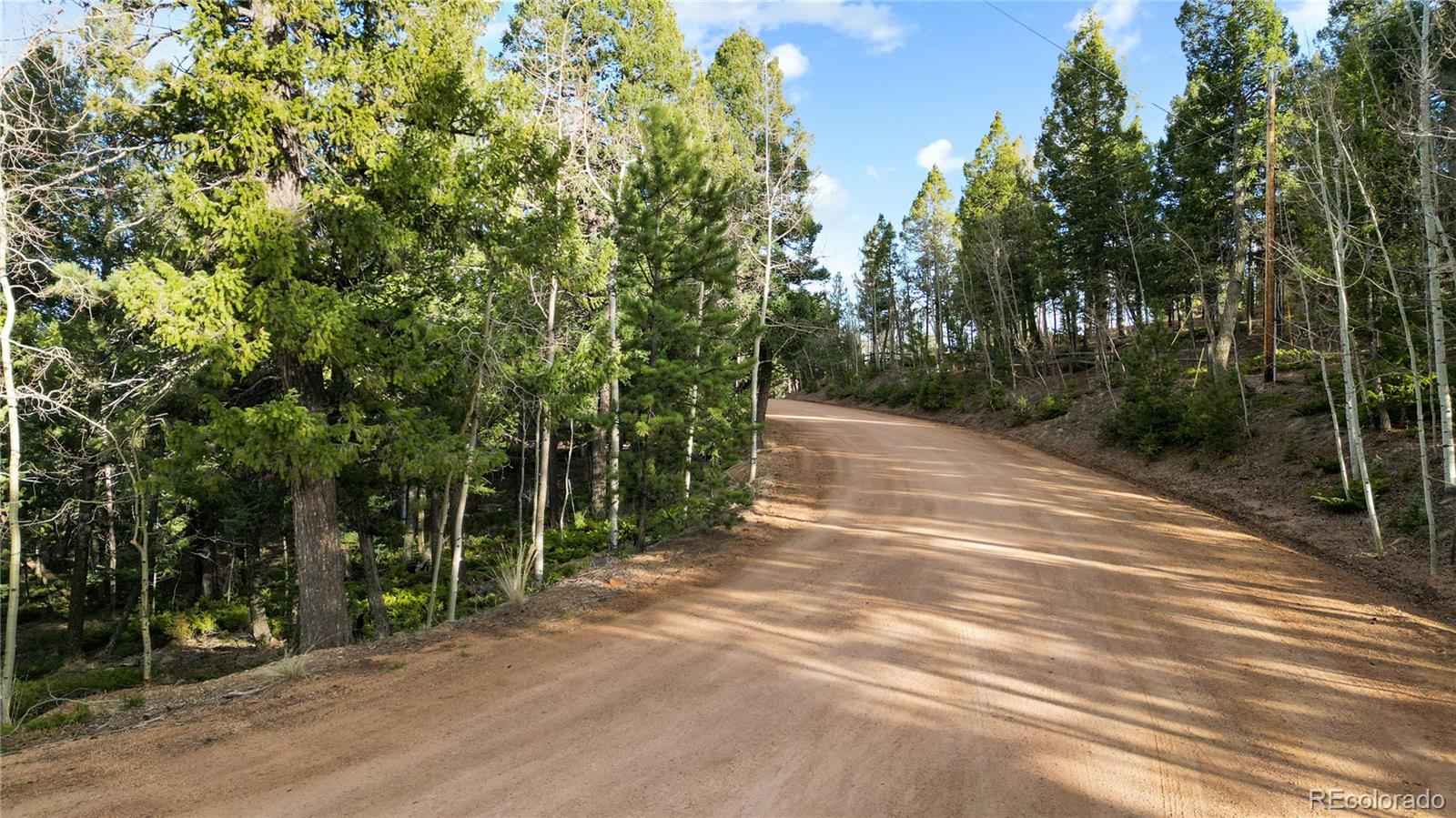 68 Yale Place Woodland Park CO 80863