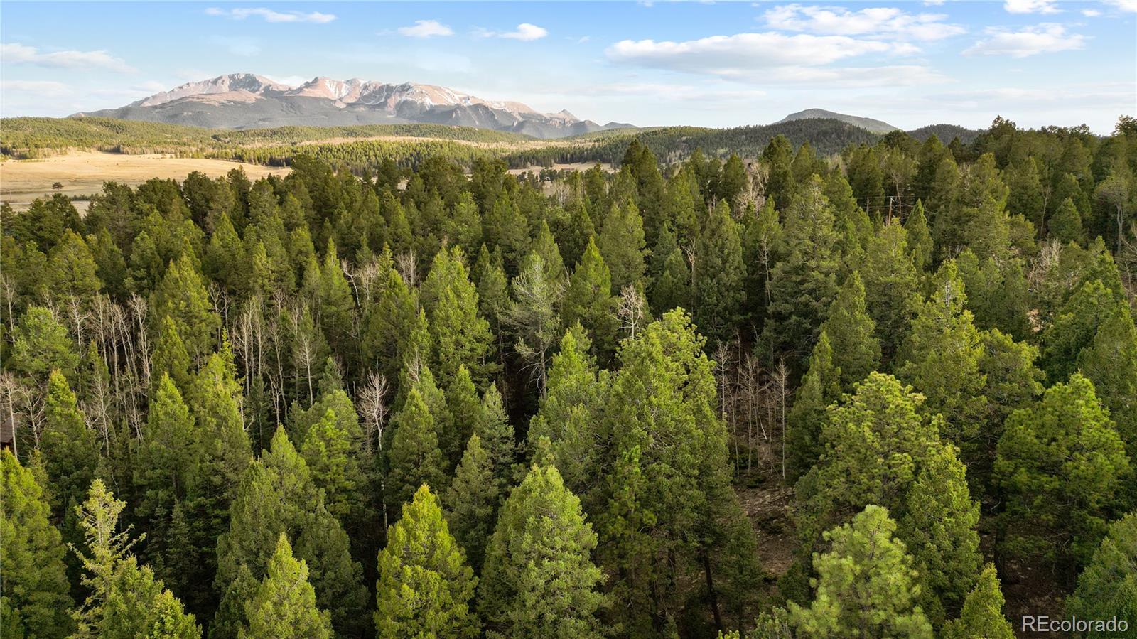 68 Yale Place Woodland Park CO 80863