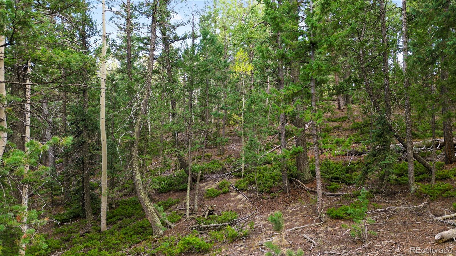 68 Yale Place Woodland Park CO 80863