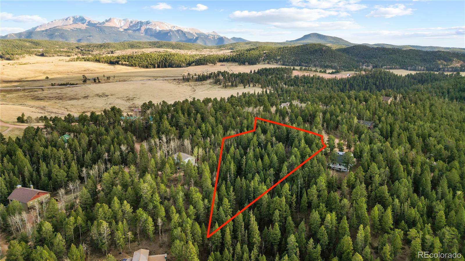 68 Yale Place Woodland Park CO 80863