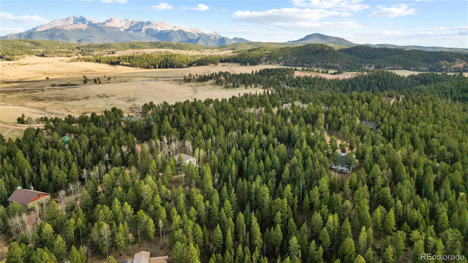 68 Yale Place Woodland Park CO 80863