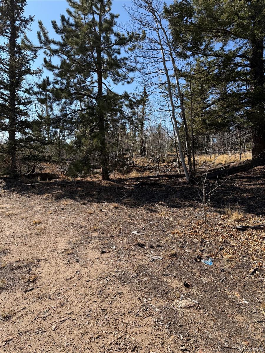 2201 Overland Circle Jefferson CO 80456