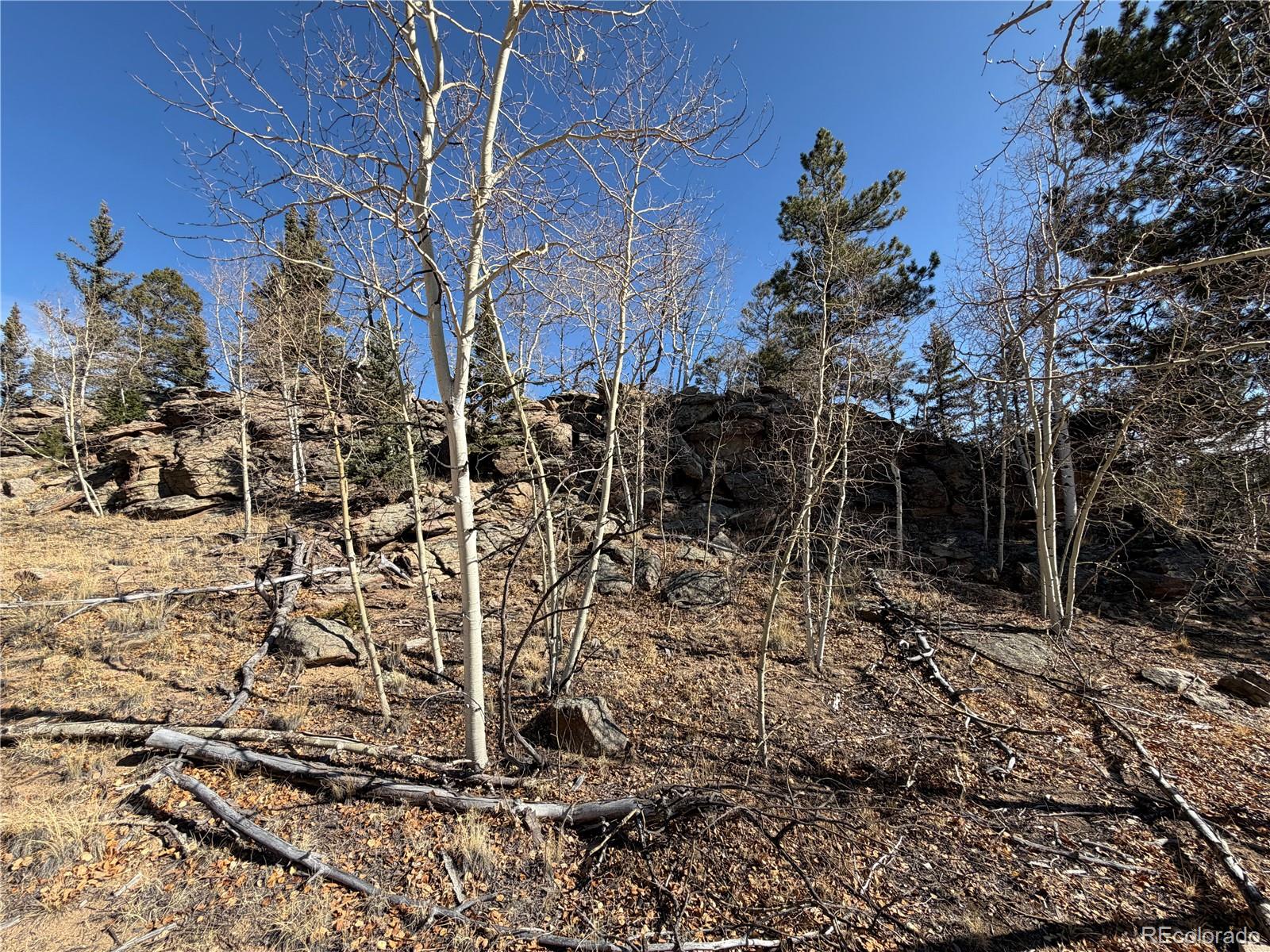 2201 Overland Circle Jefferson CO 80456