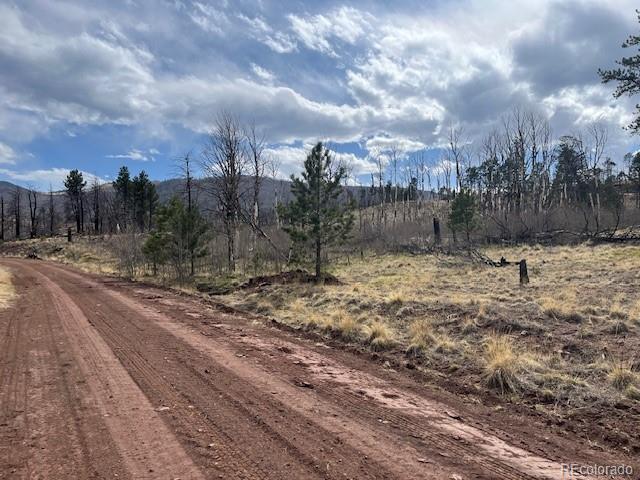Lot 686 Cogbill Drive Fort Garland CO 81133