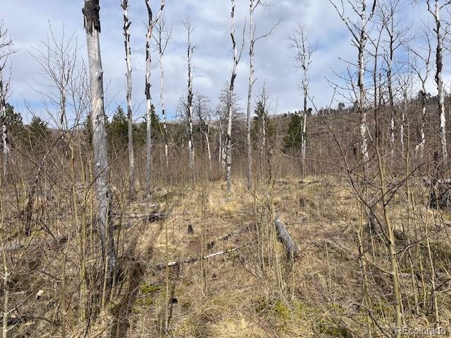 Lot 686 Cogbill Drive Fort Garland CO 81133