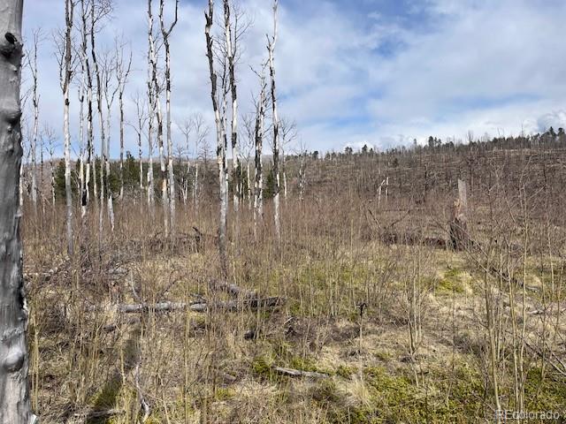 Lot 686 Cogbill Drive Fort Garland CO 81133