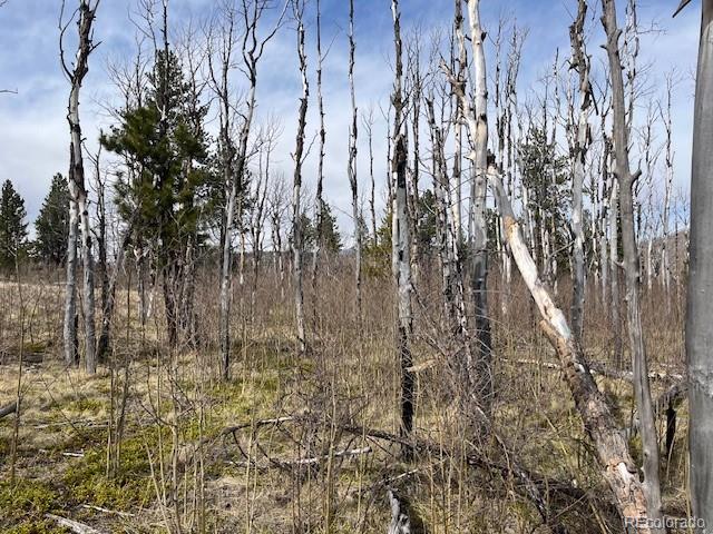 Lot 686 Cogbill Drive Fort Garland CO 81133