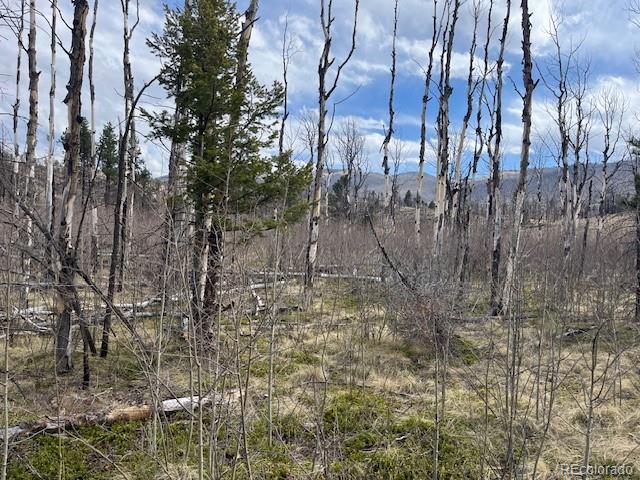 Lot 686 Cogbill Drive Fort Garland CO 81133