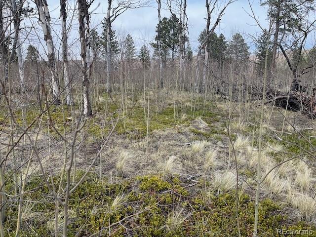 Lot 686 Cogbill Drive Fort Garland CO 81133