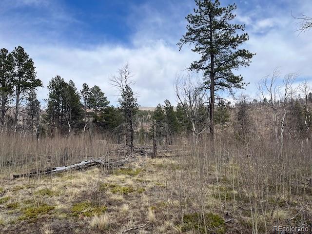 Lot 686 Cogbill Drive Fort Garland CO 81133