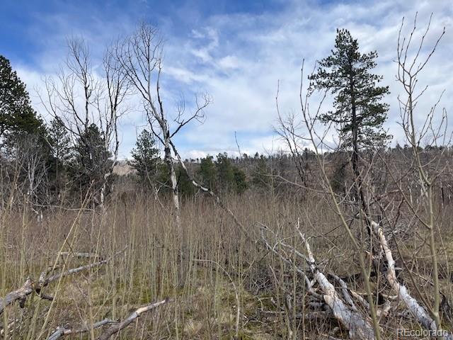 Lot 686 Cogbill Drive Fort Garland CO 81133