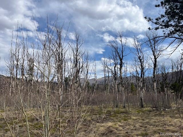 Lot 686 Cogbill Drive Fort Garland CO 81133