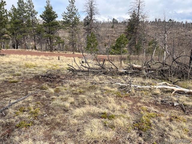 Lot 686 Cogbill Drive Fort Garland CO 81133