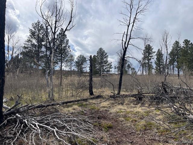 Lot 686 Cogbill Drive Fort Garland CO 81133