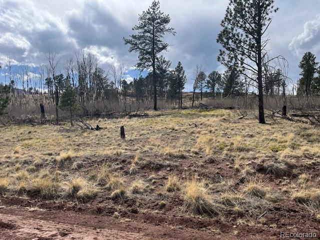Lot 686 Cogbill Drive Fort Garland CO 81133
