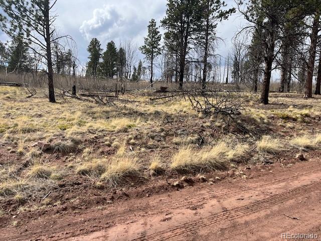 Lot 686 Cogbill Drive Fort Garland CO 81133
