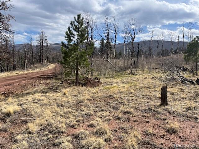Lot 686 Cogbill Drive Fort Garland CO 81133