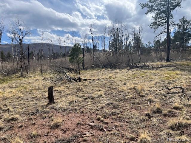 Lot 686 Cogbill Drive Fort Garland CO 81133