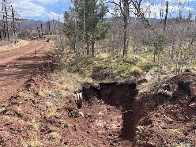Lot 686 Cogbill Drive Fort Garland CO 81133