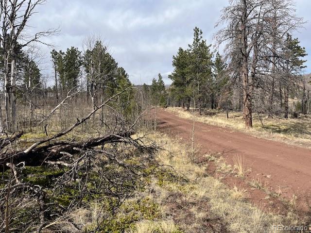 Lot 686 Cogbill Drive Fort Garland CO 81133
