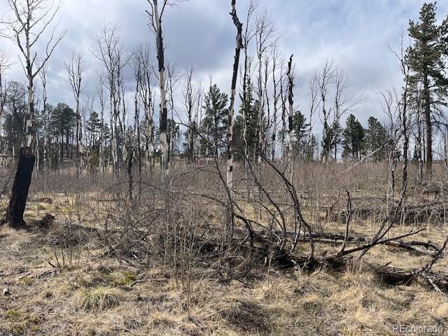 Lot 686 Cogbill Drive Fort Garland CO 81133