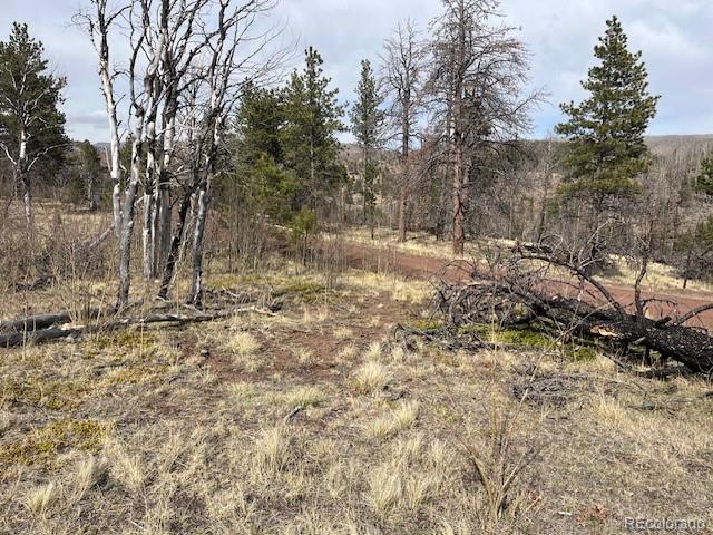 Lot 686 Cogbill Drive Fort Garland CO 81133