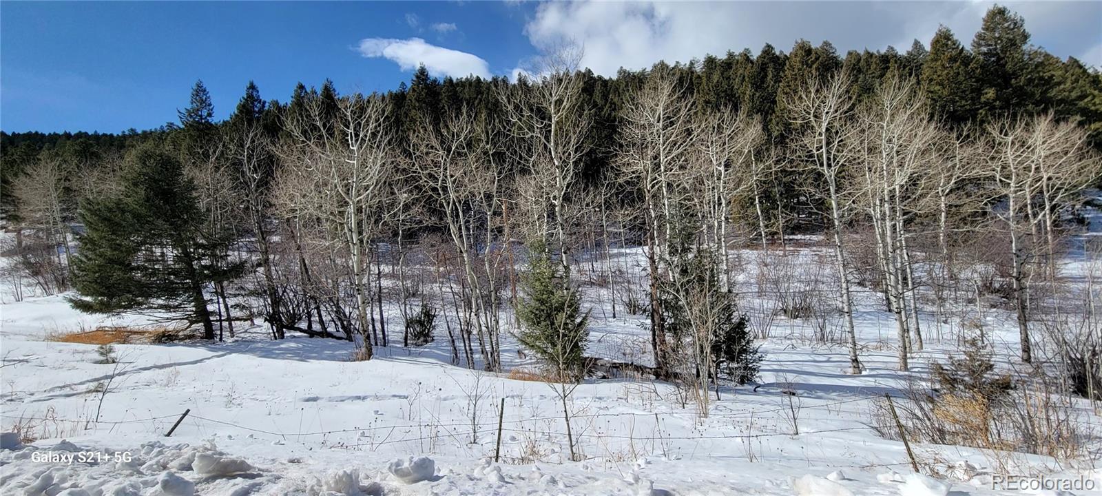 S Maxwell Hill Road Littleton CO 80127