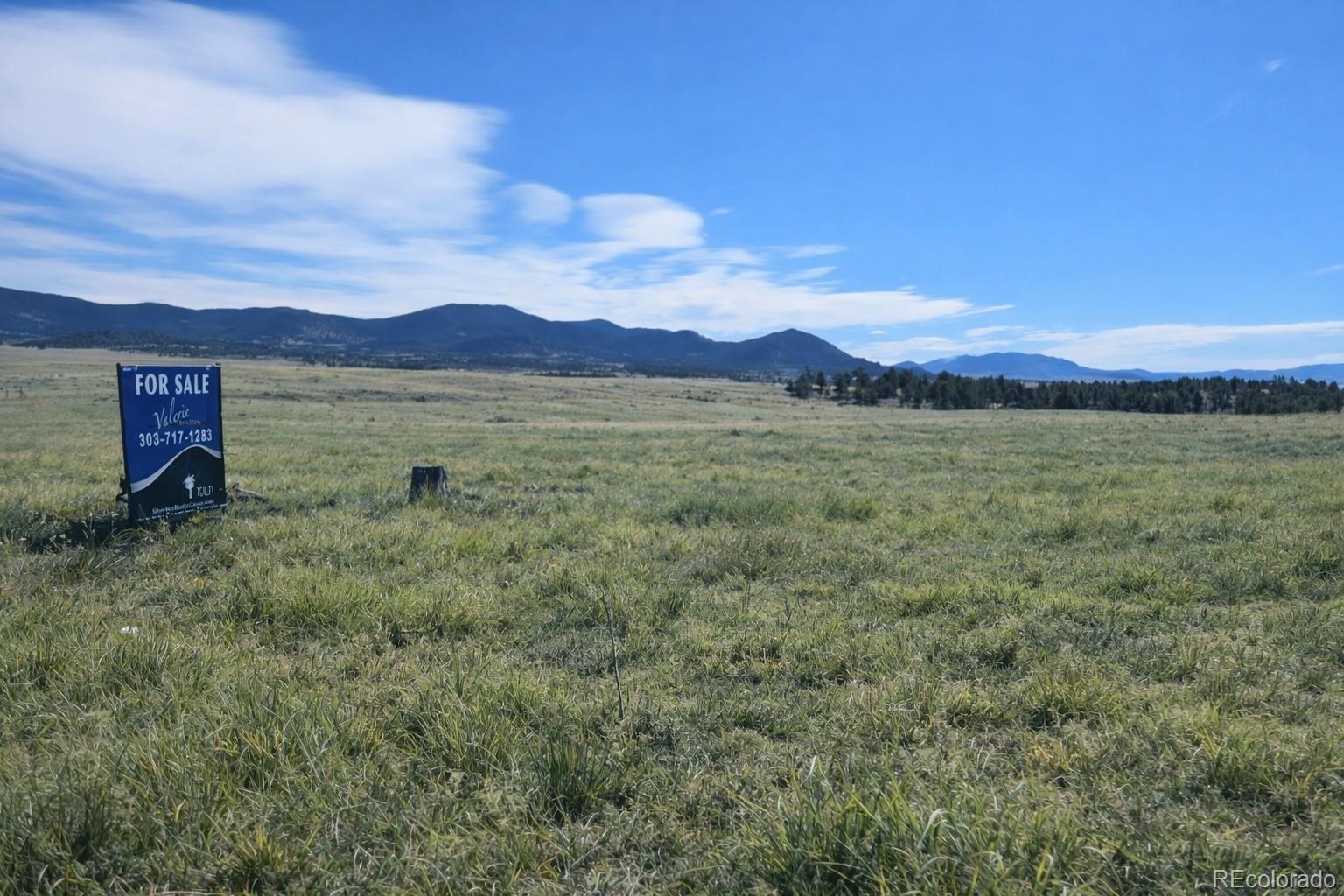 50 Sunset Crater View Hartsel CO 80449