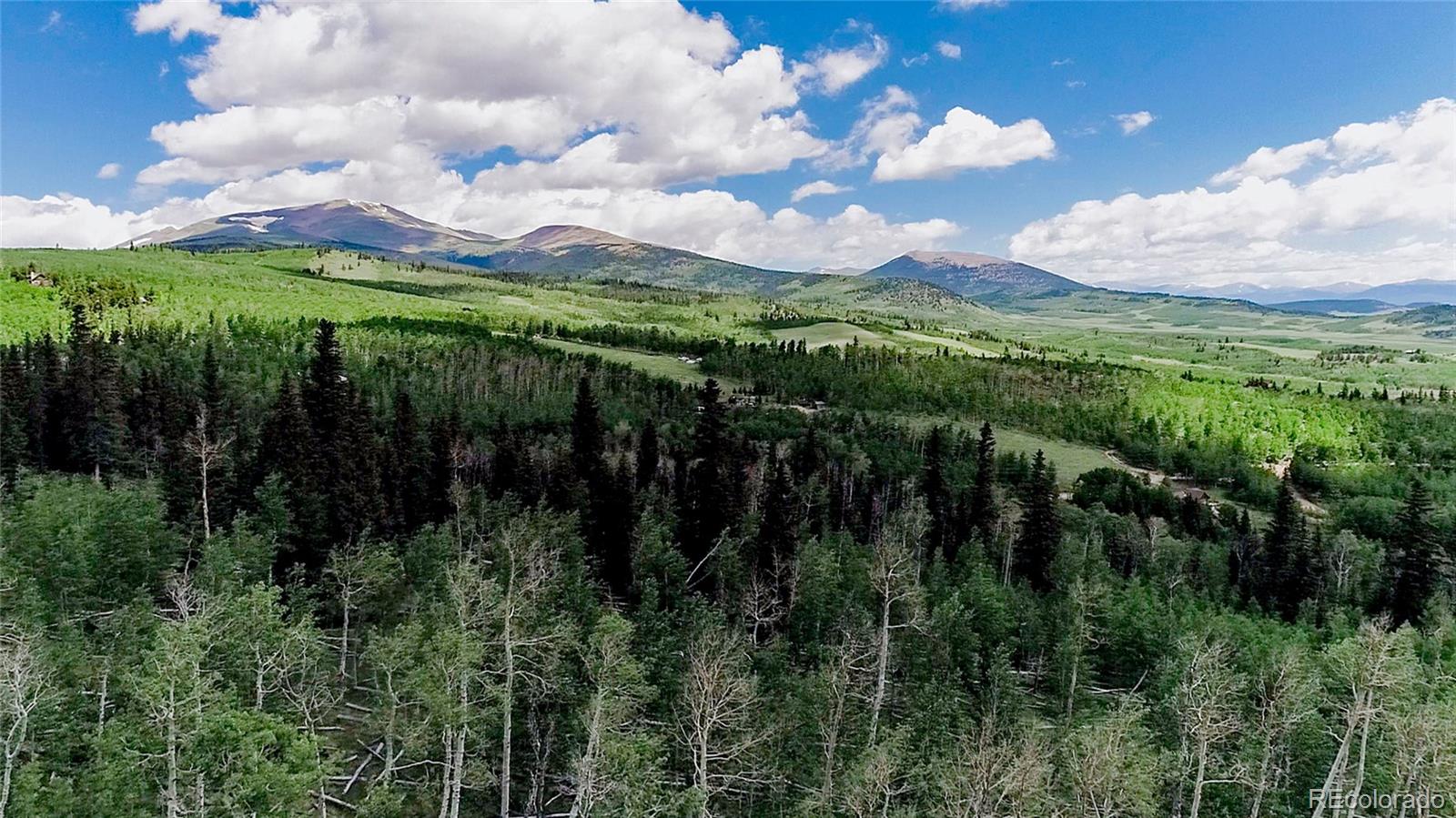 1047 Lumberjack Road Fairplay CO 80440