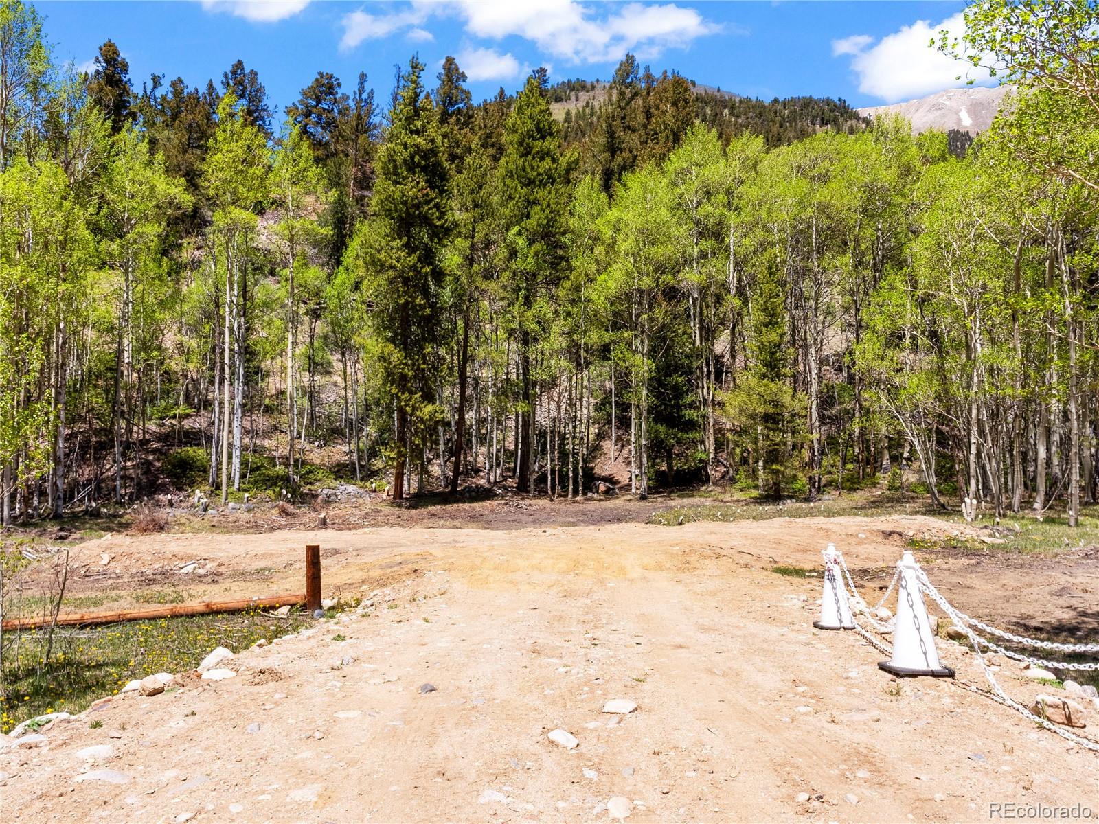 10575 Co-82 Twin Lakes CO 81251