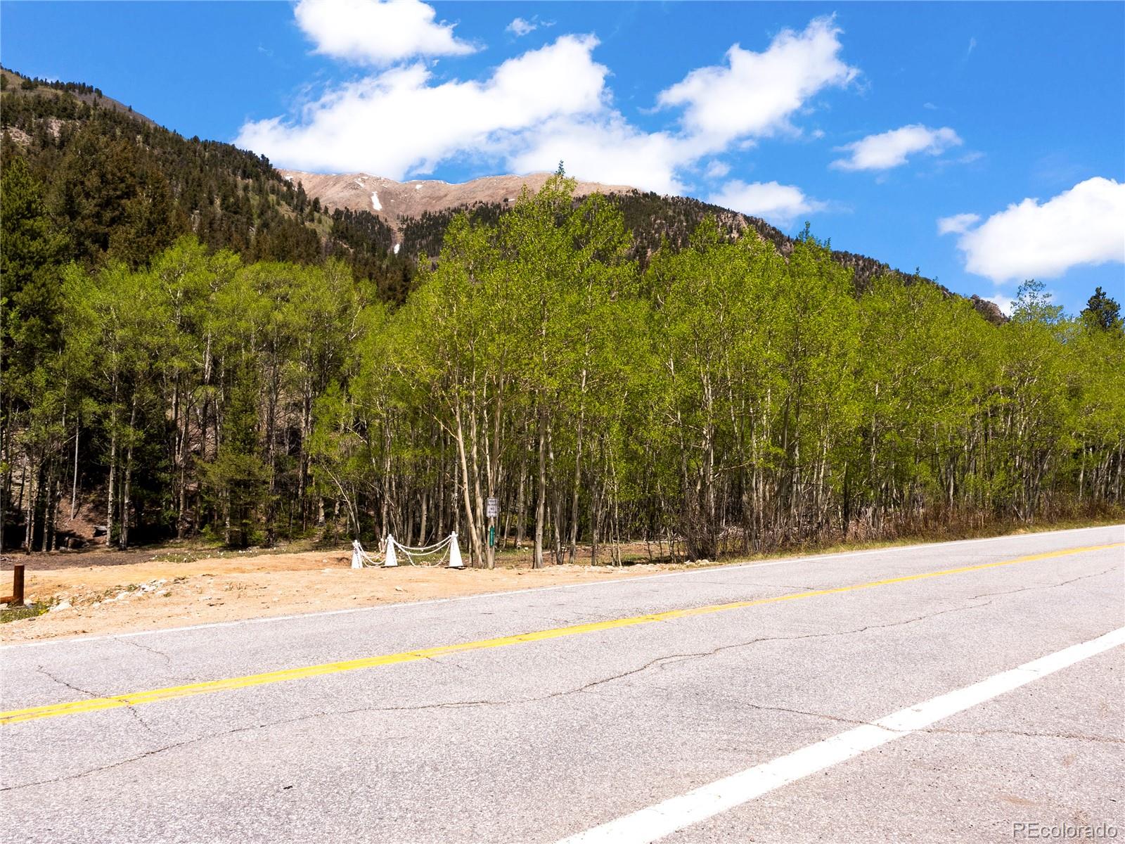 10575 Co-82 Twin Lakes CO 81251