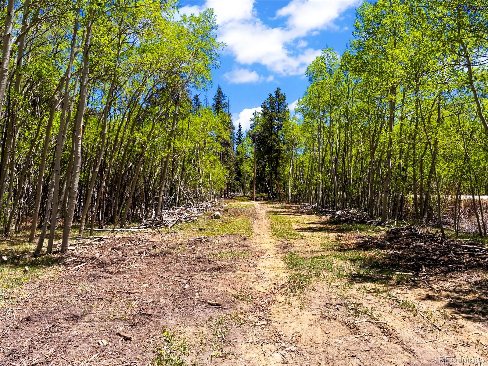10575 Co-82 Twin Lakes CO 81251