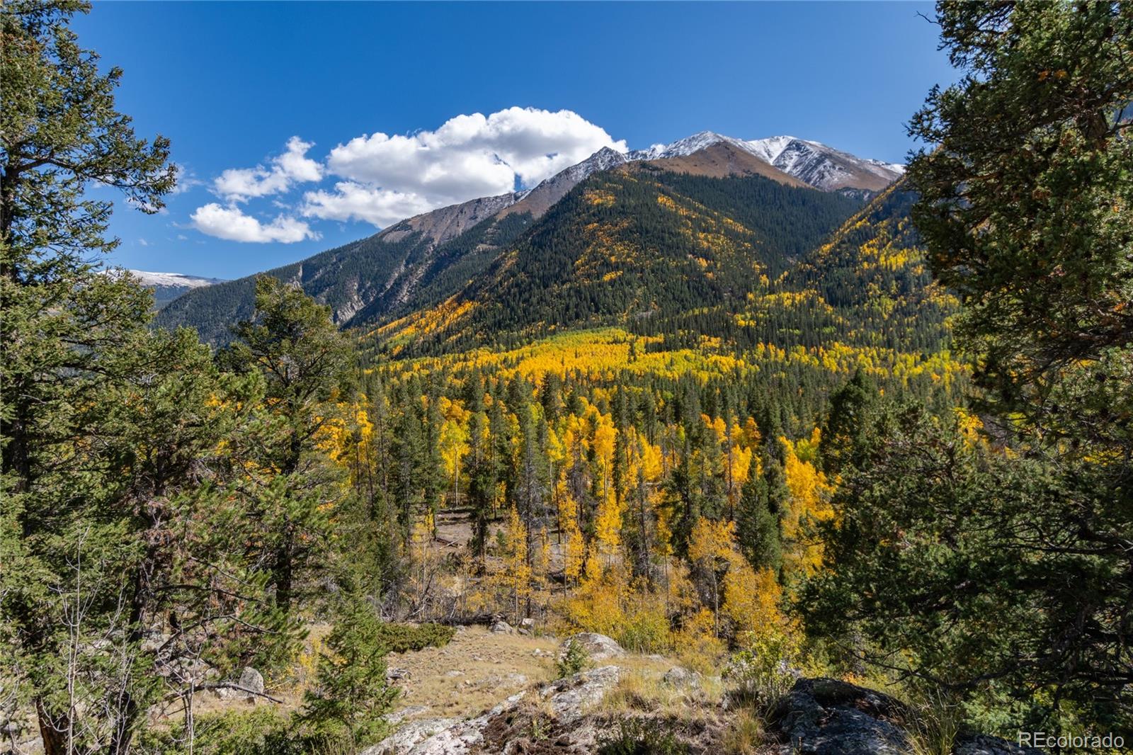 10575 Co-82 Twin Lakes CO 81251