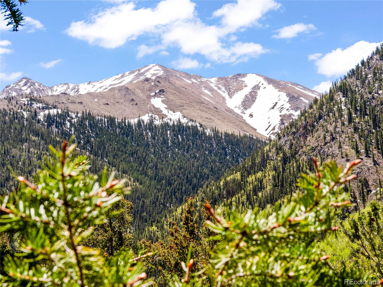 10575 Co-82 Twin Lakes CO 81251