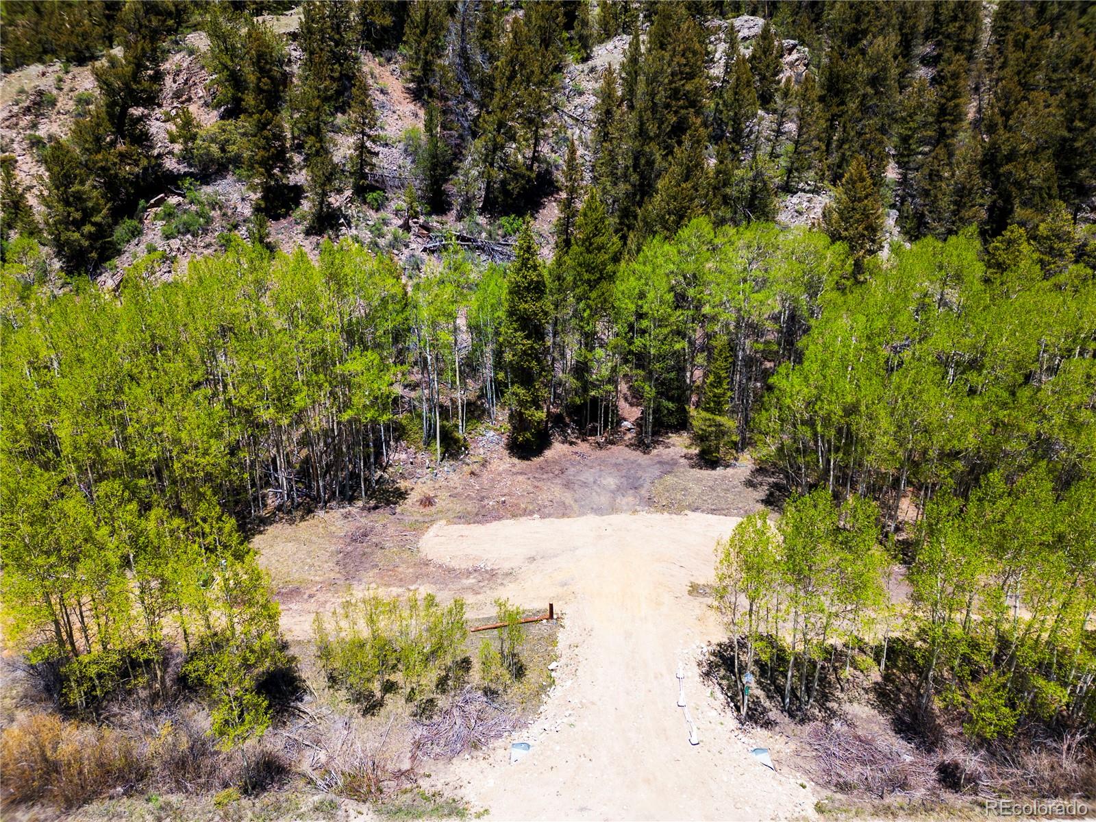10575 Co-82 Twin Lakes CO 81251